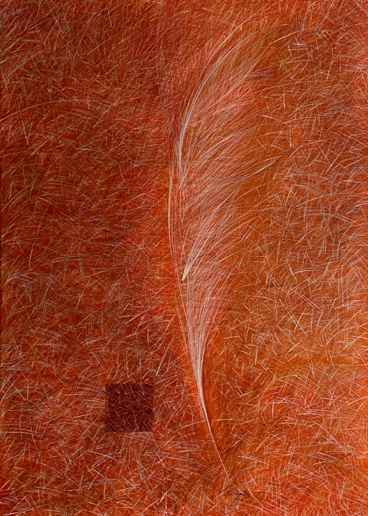 © Arkadiusz Polewka — e-eleWator 24 [listopad 2025]